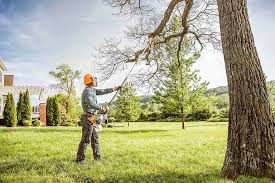 Trusted Nashville, IL Tree Services Experts